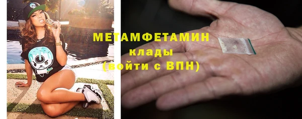шишки Медвежьегорск