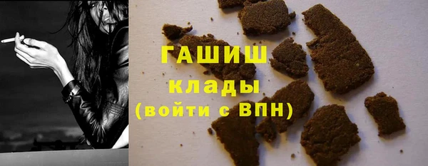 шишки Медвежьегорск