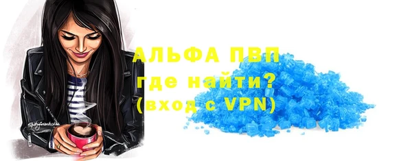 гашик Майский