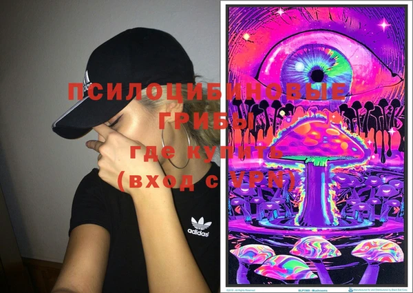 гашик Майский