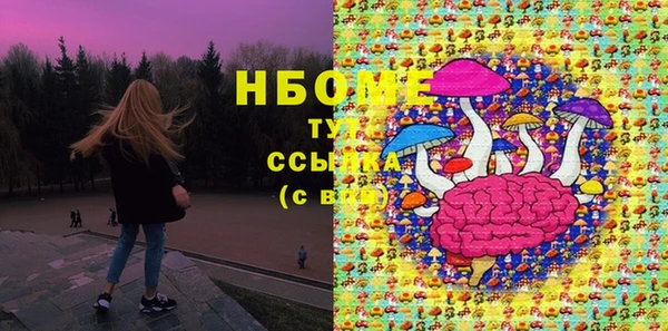 гашик Майский