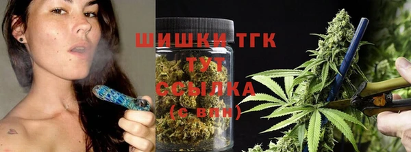 шишки Медвежьегорск