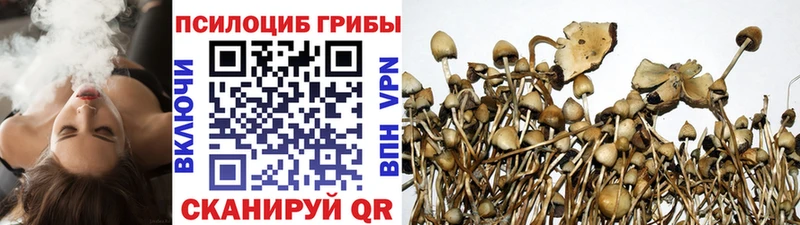 Галлюциногенные грибы Psilocybe  МЕГА ТОР  Искитим  как найти наркотики 